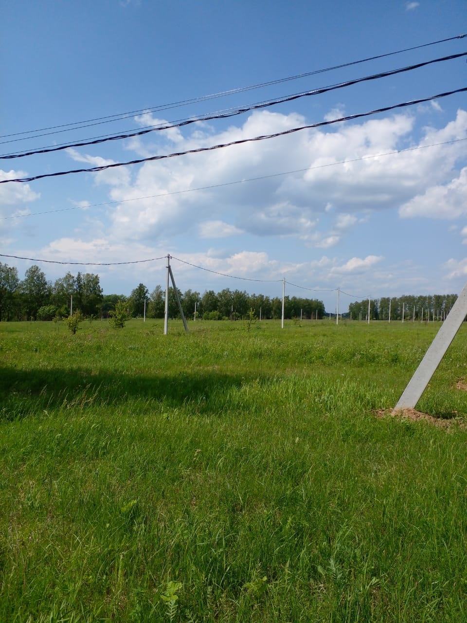 Внимание всех, кто хочет приобрести объект недвижимости в 120 километрах от Москвы и в 30 километрах от областного центра!

23 участка общей площадью 2 га  в самом экологически чистом районе Тульской области-в Ясногорском ждут своих покупателей. Участки уже размежованы от 7.5 до 9 соток. Цена за сот