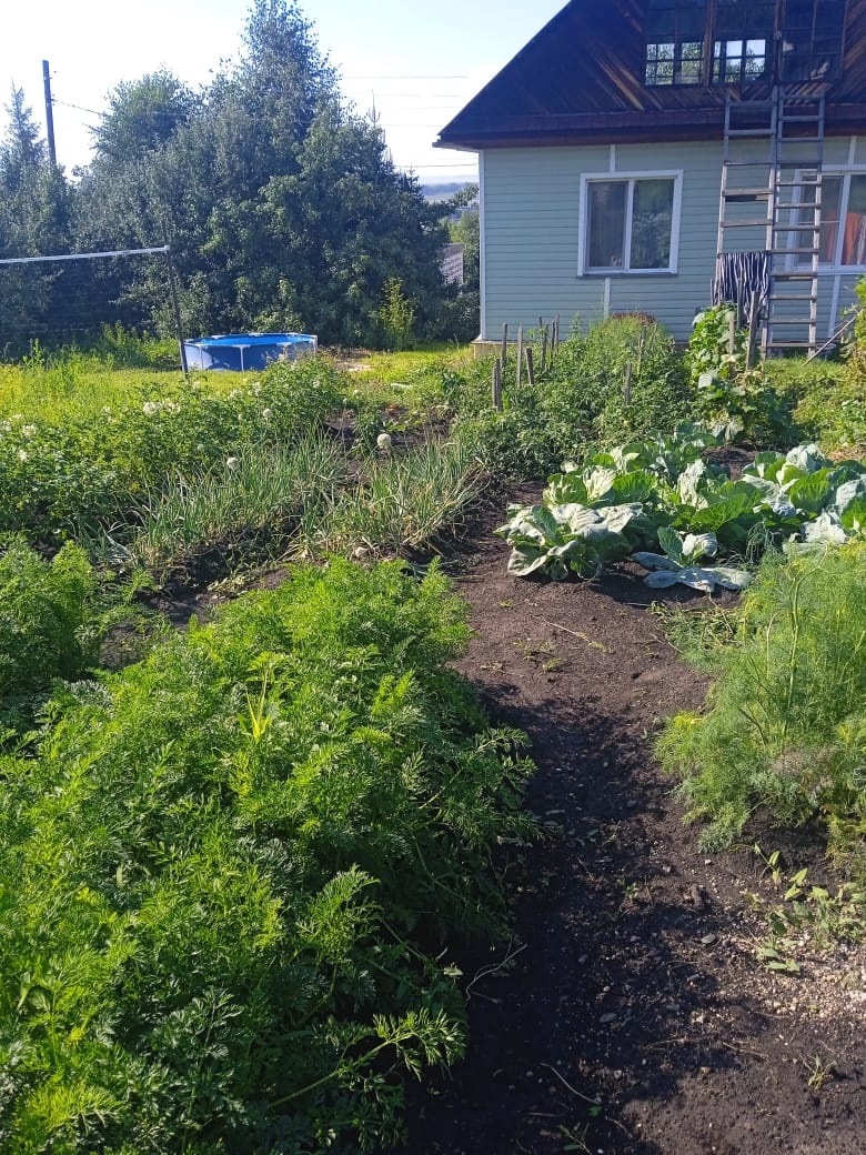 В городе-курорте Белокуриха продаётся дом 115,3 кв. м. на участке 12 соток.
Отличное месторасположение рядом с одной из центральный улиц Строителей. 
Дорога-асфальт.
       Дом в 2х уровнях. 
Отопление газовое центральное. 
При входе в дом попадаем в летнюю веранду. Под ней просторный погреб из 