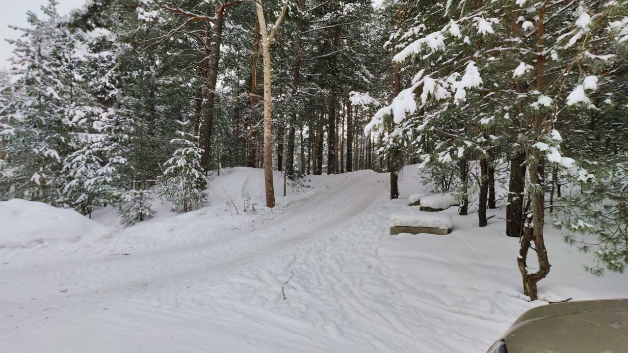 
Мечта рыбака и любителя природы: место отдыха у реки Бии! Представьте: утро на берегу могучей Бии, сосновый бор шепчет свежим ароматом (в этом месте нет посторонних запахов), а вы с удочкой в руках — в самом сердце природы. Продаём здание в уникальном месте, именно для таких моментов! Есть огорожен