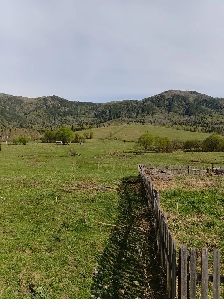Продается земельный участок в Республике Алтай, село Санькин Аил, от села Турочак  7 км в сторону Телецкого озера.
Находится участок у подножия горы Солоп 
Шикарная природа, чистейший горный воздух и лес, родниковая вода.
Рядом с участком  река.
Земельный участок в аренде.
